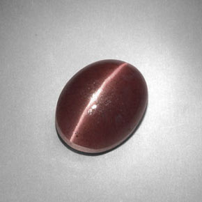 3.77カラットの天然紫がかった茶Sillimanite Cat's Eye（11.3×8.5 mm・オーバルカット）
