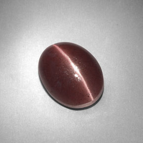 3.77カラットの天然紫がかった茶Sillimanite Cat's Eye（11.3×8.5 mm・オーバルカット）
