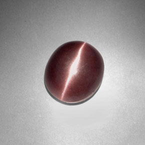 3.29カラットの天然紫がかった茶Sillimanite Cat's Eye（9.9×8.4 mm・オーバルカット）