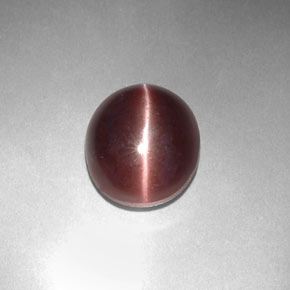 3.29カラットの天然紫がかった茶Sillimanite Cat's Eye（9.9×8.4 mm・オーバルカット）