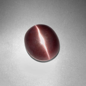 3.29カラットの天然紫がかった茶Sillimanite Cat's Eye（9.9×8.4 mm・オーバルカット）