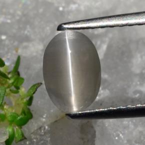 1.23カラットの天然灰色がかったブラウンシリマナイトキャッツアイ、オーバルカット、半透明