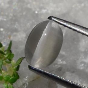 1.23カラットの天然灰色がかったブラウンシリマナイトキャッツアイ、オーバルカット、半透明