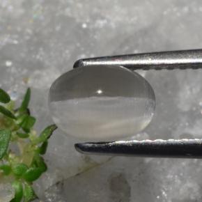 1.23カラットの天然灰色がかったブラウンシリマナイトキャッツアイ、オーバルカット、半透明