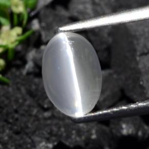 1.40カラットの天然灰色がかったブラウンシリマナイトキャッツアイ、オーバルカット、透明