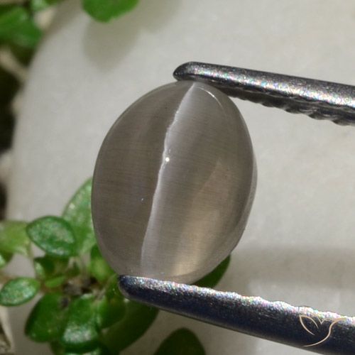 1.80ct 天然 ピーナッツブラウン シリマナイトキャッツアイ, 楕円形, 半透明