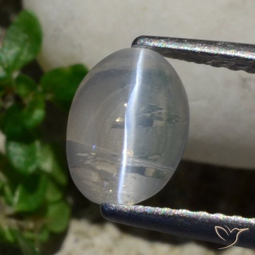 1.42ct 天然 非常に薄い灰色 シリマナイトキャッツアイ, 楕円形, 透明