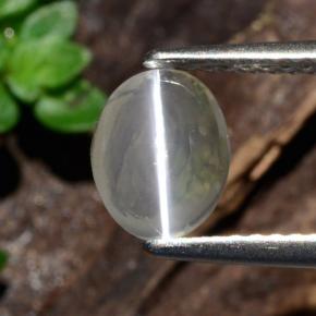 1.14カラットの天然スモークSillimanite Cat's Eye（8×6 mm・オーバルカット）