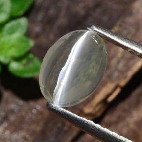 1.14カラットの天然スモークSillimanite Cat's Eye（8×6 mm・オーバルカット）