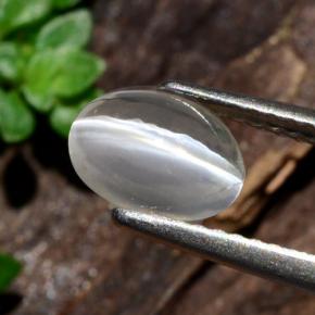 1.14カラットの天然スモークSillimanite Cat's Eye（8×6 mm・オーバルカット）