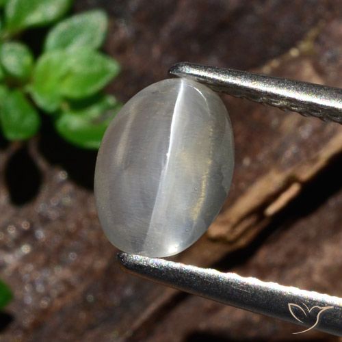 1.47ct 天然 ホワイト シリマナイトキャッツアイ, 楕円形, 半透明