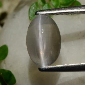 1.20カラットの天然スモークシリマナイトキャッツアイ、オーバルカット、透明