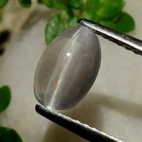 1.20カラットの天然スモークシリマナイトキャッツアイ、オーバルカット、透明