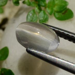 1.20カラットの天然スモークシリマナイトキャッツアイ、オーバルカット、透明