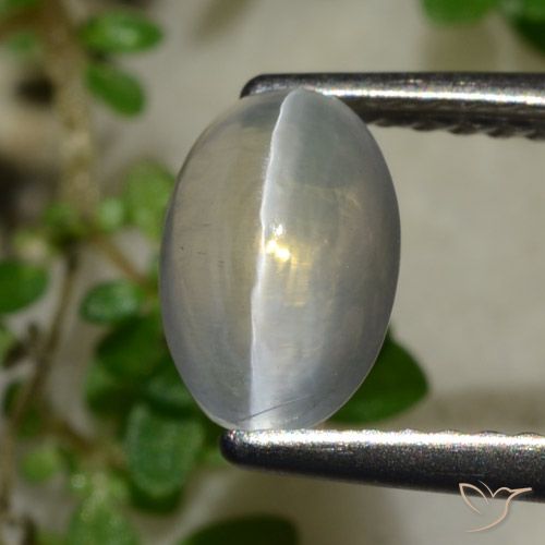 1.65ct 天然 非常に薄い灰色 シリマナイトキャッツアイ, 楕円形, 透明