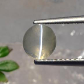 1.56カラットの天然スモークSillimanite Cat's Eye（6.22 mm・ラウンドカット）