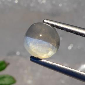 1.56カラットの天然スモークSillimanite Cat's Eye（6.22 mm・ラウンドカット）