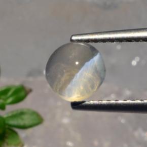 1.56カラットの天然スモークSillimanite Cat's Eye（6.22 mm・ラウンドカット）