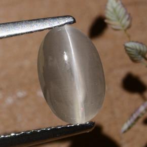 1.40カラットの天然スモークシリマナイトキャッツアイ、オーバルカット、半透明