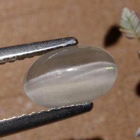 1.40カラットの天然スモークシリマナイトキャッツアイ、オーバルカット、半透明