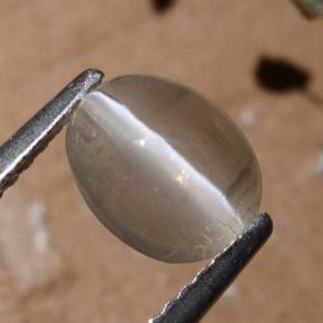 1.44カラットの天然スモークシリマナイトキャッツアイ、オーバルカット、半透明