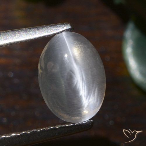 1.54ct 天然 ウォームホワイト シリマナイトキャッツアイ, 楕円形, 半透明