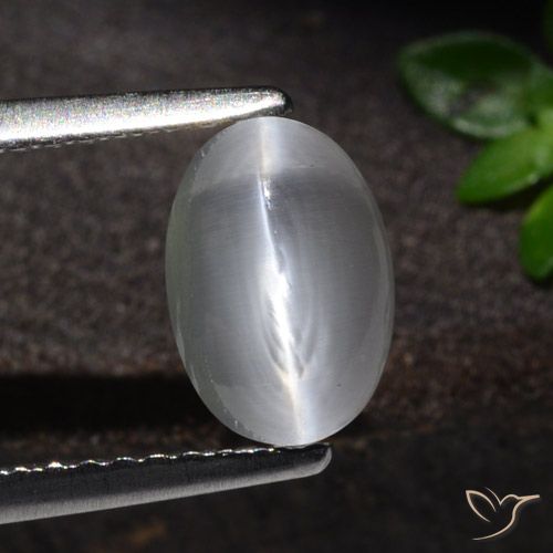 1.51ct 天然 ホワイト シリマナイトキャッツアイ, 楕円形, 透明
