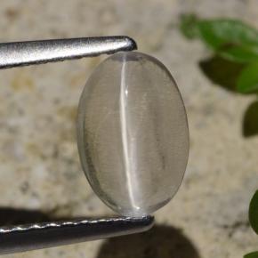 1.45カラットの天然スモークシリマナイトキャッツアイ、オーバルカット、透明