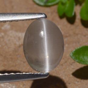 1.29カラットの天然スモークシリマナイトキャッツアイ、オーバルカット、透明