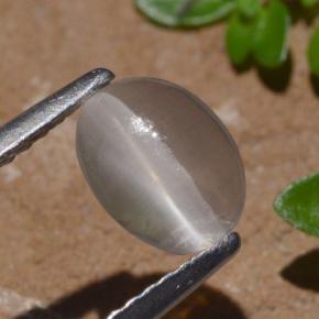 1.29カラットの天然スモークシリマナイトキャッツアイ、オーバルカット、透明