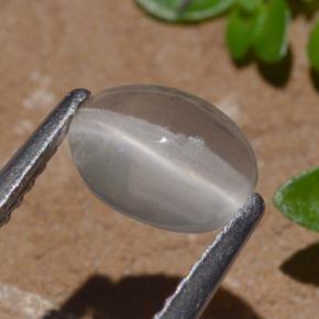 1.29カラットの天然スモークシリマナイトキャッツアイ、オーバルカット、透明