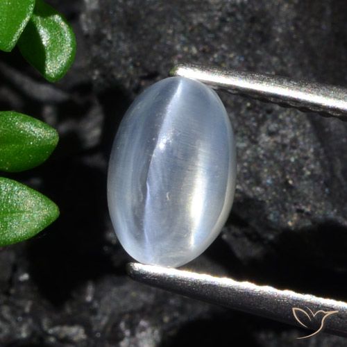 1.70ct 天然 クリア シリマナイトキャッツアイ, 楕円形, 透明