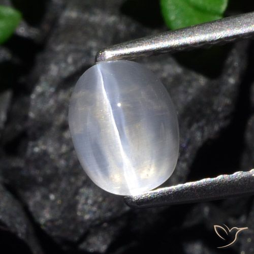 1.61ct 天然 クリア シリマナイトキャッツアイ, 楕円形, 透明