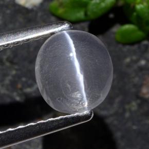 1.03カラットの天然スモークSillimanite Cat's Eye（6.8×6.3 mm・オーバルカット）