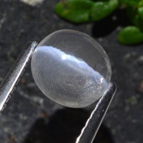 1.03カラットの天然スモークSillimanite Cat's Eye（6.8×6.3 mm・オーバルカット）
