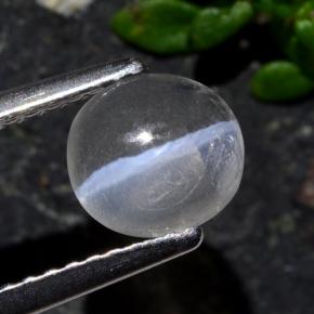 1.03カラットの天然スモークSillimanite Cat's Eye（6.8×6.3 mm・オーバルカット）