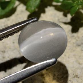 1.59カラットの天然スモークシリマナイトキャッツアイ、ラウンドカット、透明