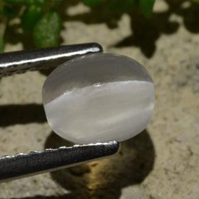 1.57カラットの天然スモークシリマナイトキャッツアイ、オーバルカット、透明