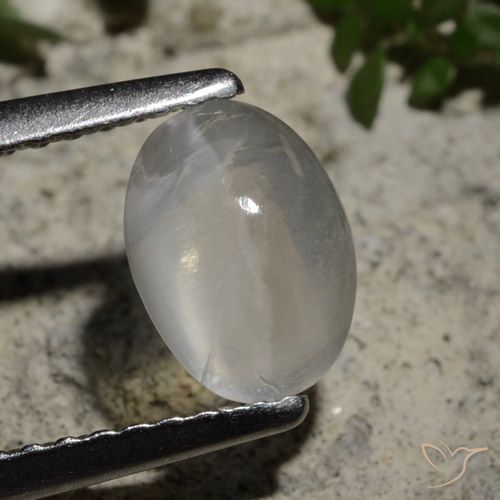 1.44ct 天然 クリアホワイト シリマナイトキャッツアイ, 楕円形, 透明