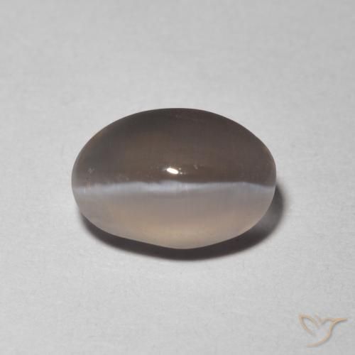 1.48ct 天然 非常に薄い灰色 シリマナイトキャッツアイ, 楕円形, 透明