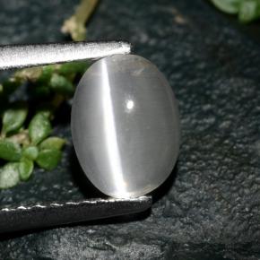1.39カラットの天然スモークSillimanite Cat's Eye（7.5×5.7 mm・オーバルカット）
