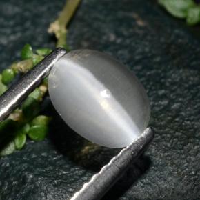 1.39カラットの天然スモークSillimanite Cat's Eye（7.5×5.7 mm・オーバルカット）
