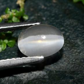 1.39カラットの天然スモークSillimanite Cat's Eye（7.5×5.7 mm・オーバルカット）