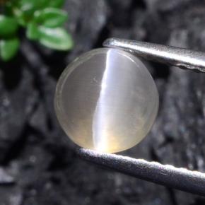 1.74カラットの天然非常に薄い灰色Sillimanite Cat's Eye（6.38 mm・ラウンドカット）