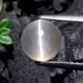 1.74カラットの天然非常に薄い灰色Sillimanite Cat's Eye（6.38 mm・ラウンドカット）
