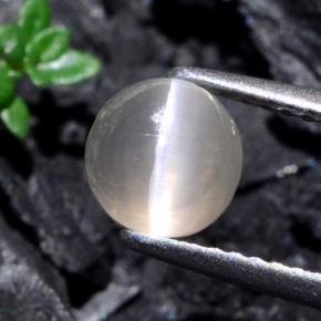 1.74カラットの天然非常に薄い灰色Sillimanite Cat's Eye（6.38 mm・ラウンドカット）