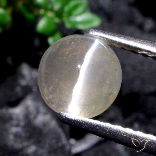 1.53ct 天然 ウォームホワイト シリマナイトキャッツアイ, ラウンド, 半透明