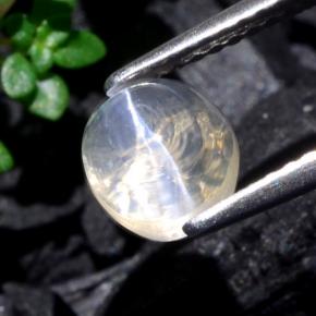 1.93カラットの天然クリアSillimanite Cat's Eye（6.7×6.2 mm・オーバルカット）