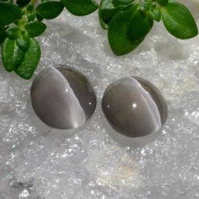2.20カラットの天然非常に薄い灰色Sillimanite Cat's Eye（6.2×6.1 mm・オーバルカット）