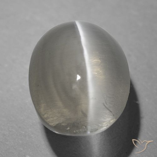 1.26ct 天然 非常に薄い灰色 シリマナイトキャッツアイ, 楕円形, 透明